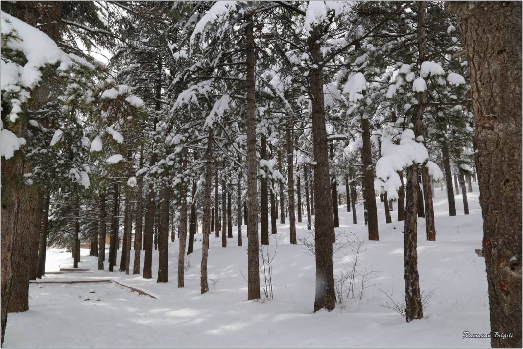 Konya’nın karla kaplı ilçesinden kartpostallık kareler 11